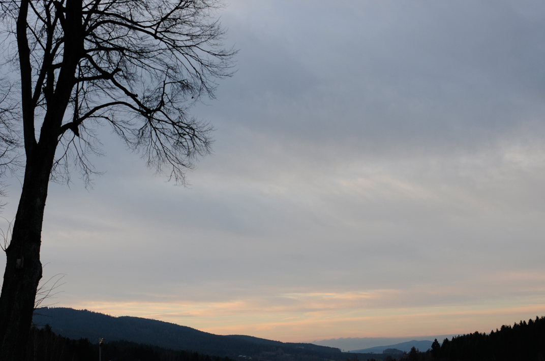 Blick in die Freiheit